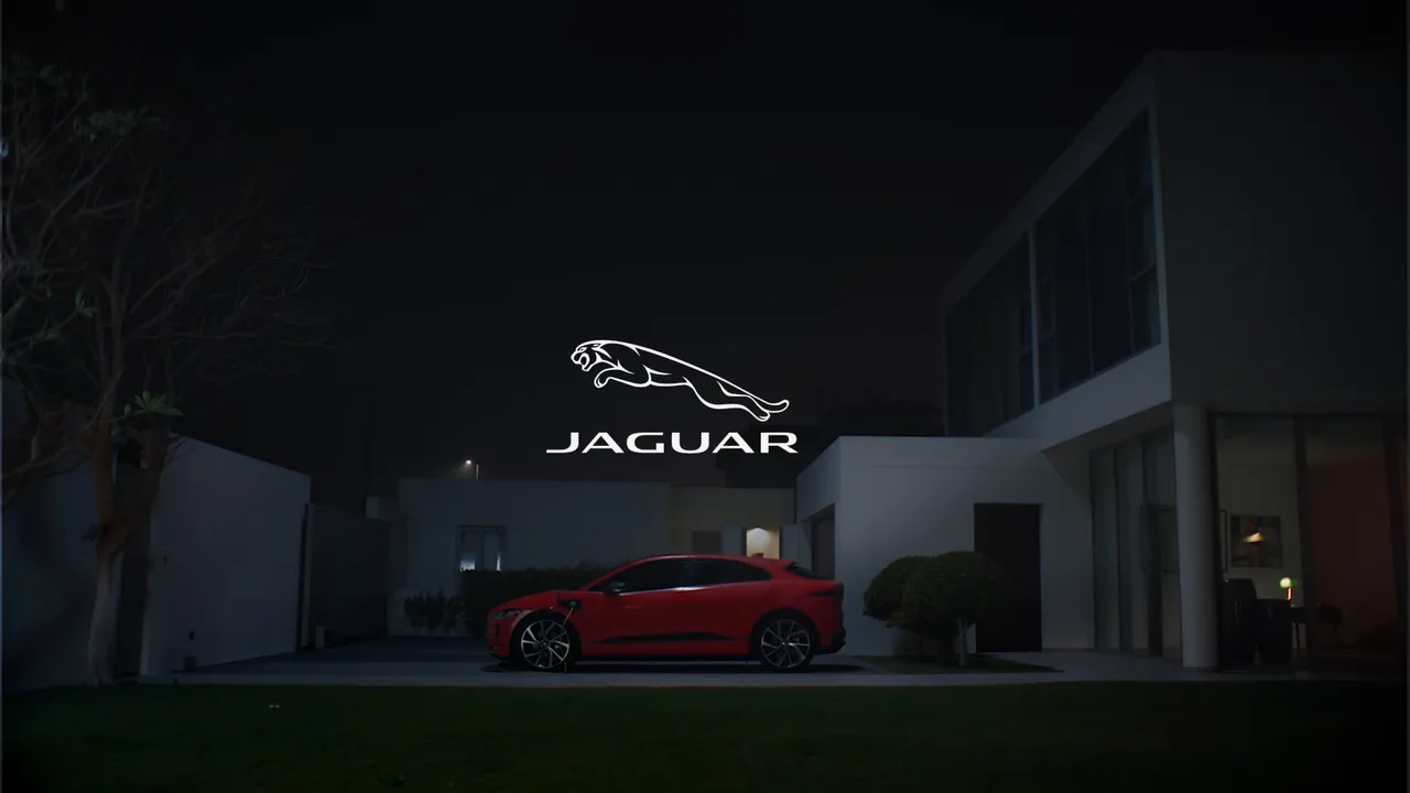 Jaguar video preview