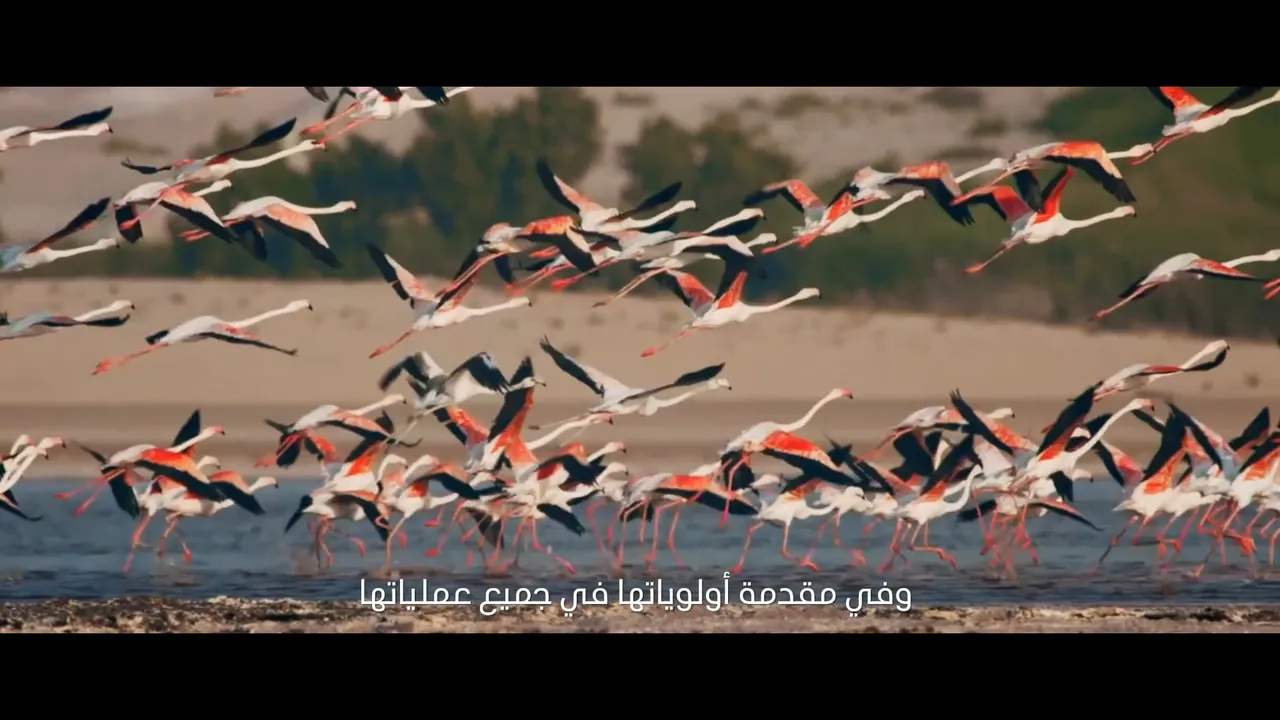 ADNOC Sustainability video preview