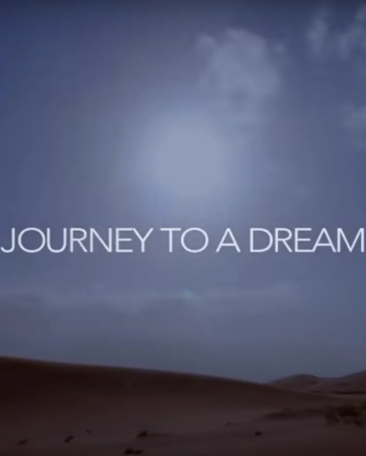 The Journey / 2013 poster