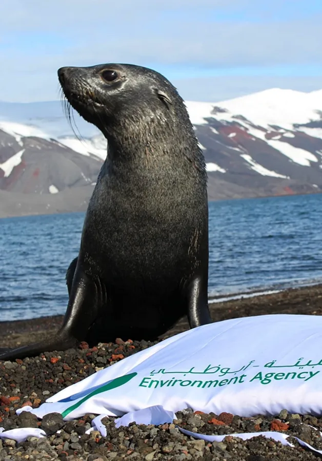 Zayed's Antarctic Lights / 2018 poster